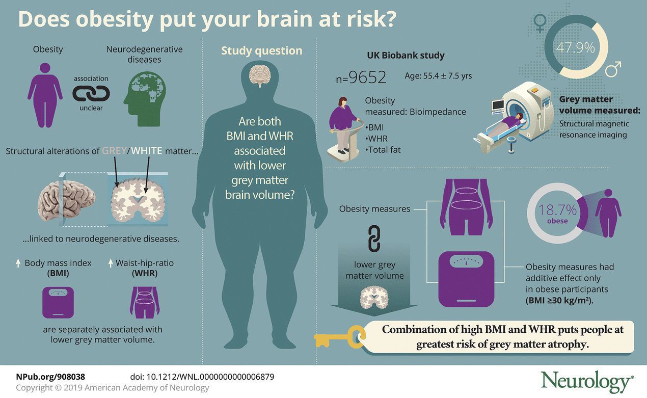 Belly Fat graphic